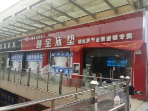 公司介绍