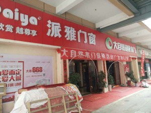 公司介绍