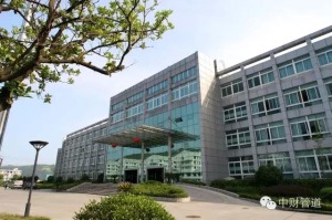 公司介绍