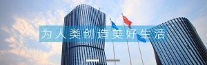 公司介绍
