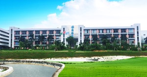 公司介绍